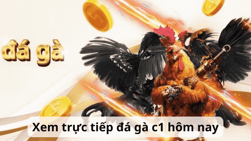 Các giải đấu đá gà c1 nổi tiếng